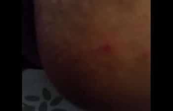 Morena gosrosa
