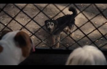 Os donos da festa 3 filme completo dublado